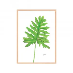 Philodendron Living Wall Art | CANVAS Tasmanian Oak Boxed Frame A3 (29.7cm x 42cm) by Luxe Mirrors, a Artwork & Wall Decor for sale on Style Sourcebook