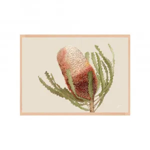 Banksia Native Living Art Flower 1 in Ivory Fine Art | FRAMED Tasmanian Oak Boxed Frame A3 (29.7cm x 42cm) No White Border Landscape by Luxe Mirrors, a Artwork & Wall Decor for sale on Style Sourcebook