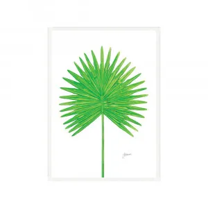 Fan Palm Living Wall Art | CANVAS White Boxed Frame A3 (29.7cm x 42cm) by Luxe Mirrors, a Artwork & Wall Decor for sale on Style Sourcebook