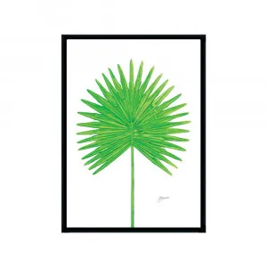 Fan Palm Living Wall Art | CANVAS Black Boxed Frame A3 (29.7cm x 42cm) by Luxe Mirrors, a Artwork & Wall Decor for sale on Style Sourcebook