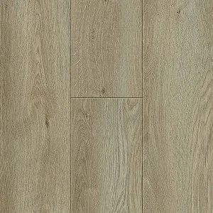 Dundee Midcraigie by Xpert Pro, a Light Neutral Laminate for sale on Style Sourcebook