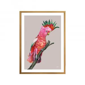 Mardi the Colourful Cockatoo in Pale Slate Fine Art Print | FRAMED Tasmanian Oak Boxed Frame A3 (29.7cm x 42cm) With White Border by Luxe Mirrors, a Artwork & Wall Decor for sale on Style Sourcebook