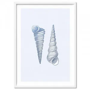 Sea Shells in Blue | Auger Shells - Art Print by Print and Proper, a Prints for sale on Style Sourcebook