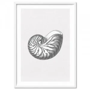 Sea Shells in Grey | Nautilus Shell - Art Print by Print and Proper, a Prints for sale on Style Sourcebook