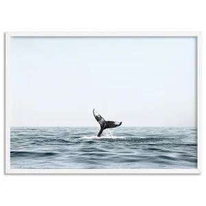 Humpback Whale Tail II Landscape - Art Print by Print and Proper, a Prints for sale on Style Sourcebook