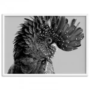 Black Cockatoo Pose Landscape, in Black & White - Art Print by Print and Proper, a Prints for sale on Style Sourcebook