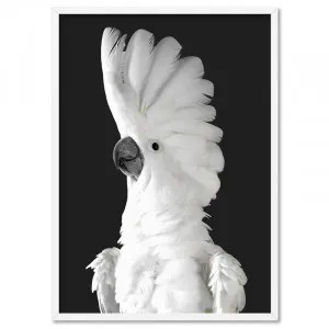 White Cockatoo on Charcoal Background - Art Print by Print and Proper, a Prints for sale on Style Sourcebook