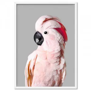 Salmon Crested Cockatoo II - Art Print by Print and Proper, a Prints for sale on Style Sourcebook