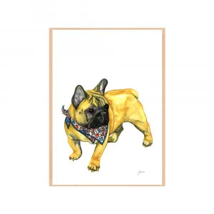 Louie the French Bulldog Fine Art Print | FRAMED Tasmanian Oak Boxed Frame A3 (29.7cm x 42cm) by Luxe Mirrors, a Artwork & Wall Decor for sale on Style Sourcebook