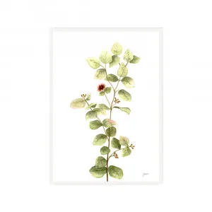 Eucalyptus Native Living 2 in White Fine Art Print | FRAMED White Boxed Frame A3 (29.7cm x 42cm) by Luxe Mirrors, a Artwork & Wall Decor for sale on Style Sourcebook