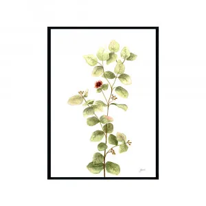 Eucalyptus Native Living 2 in White Fine Art Print | FRAMED Black Boxed Frame A3 (29.7cm x 42cm) by Luxe Mirrors, a Artwork & Wall Decor for sale on Style Sourcebook