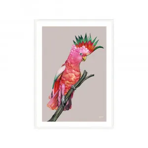 Mardi the Colourful Cockatoo Fine Art Print | FRAMED White Boxed Frame A3 (29.7cm x 42cm) With White Border by Luxe Mirrors, a Artwork & Wall Decor for sale on Style Sourcebook