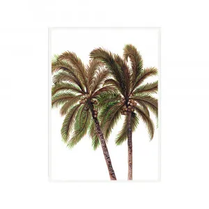 Palm Breeze in White Fine Art Print | FRAMED White Boxed Frame A3 (29.7cm x 42cm) No White Border by Luxe Mirrors, a Artwork & Wall Decor for sale on Style Sourcebook