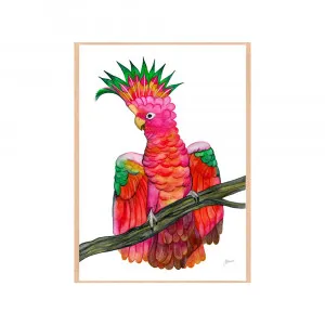 Miranda the Colourful Cockatoo Fine Art Print | FRAMED Tasmanian Oak Boxed Frame A3 (29.7cm x 42cm) No White Border by Luxe Mirrors, a Artwork & Wall Decor for sale on Style Sourcebook