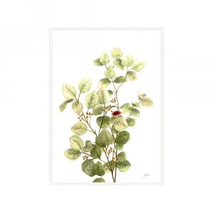 Eucalyptus Native Living 3 in White Fine Art Print | FRAMED White Boxed Frame A3 (29.7cm x 42cm) by Luxe Mirrors, a Artwork & Wall Decor for sale on Style Sourcebook