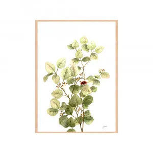 Eucalyptus Native Living 3 in White Fine Art Print | FRAMED Tasmanian Oak Boxed Frame A3 (29.7cm x 42cm) by Luxe Mirrors, a Artwork & Wall Decor for sale on Style Sourcebook