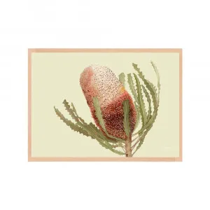 Banksia Native Living Art Flower 1 in Pale Sage Fine Art | FRAMED Tasmanian Oak Boxed Frame A3 (29.7cm x 42cm) No White Border Landscape by Luxe Mirrors, a Artwork & Wall Decor for sale on Style Sourcebook