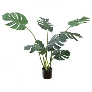 Glamorous Fusion Potted Artificial Monstera Vine Plant, 110cm by Glamorous Fusion, a Plants for sale on Style Sourcebook