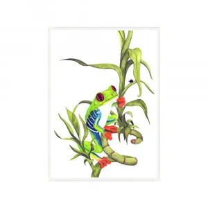 Archie the Red-Eyed Green Tree Frog Fine Art | FRAMED White Boxed Frame A3 (29.7cm x 42cm) No White Border by Luxe Mirrors, a Artwork & Wall Decor for sale on Style Sourcebook