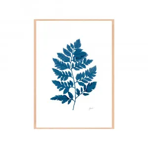 Lush Fern Living in Navy Blue Fine Art Print | FRAMED Tasmanian Oak Boxed Frame A3 (29.7cm x 42cm) by Luxe Mirrors, a Artwork & Wall Decor for sale on Style Sourcebook