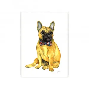 Anton the French Bulldog Fine Art Print | FRAMED White Boxed Frame A3 (29.7cm x 42cm) by Luxe Mirrors, a Artwork & Wall Decor for sale on Style Sourcebook