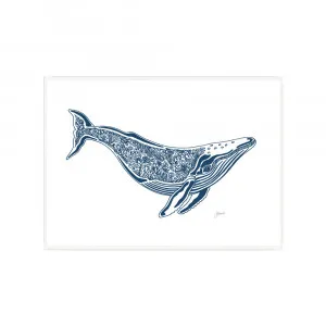 Harry the Humpback Whale in Navy Blue Fine Art Print | FRAMED White Boxed Frame A3 (29.7cm x 42cm) by Luxe Mirrors, a Artwork & Wall Decor for sale on Style Sourcebook