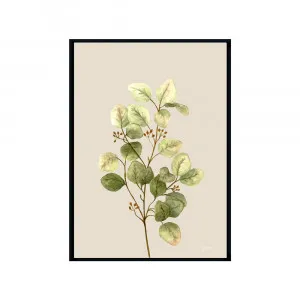 Eucalyptus Native Living 1 in Ivory Fine Art Print | FRAMED Black Boxed Frame A3 (29.7cm x 42cm) No White Border by Luxe Mirrors, a Artwork & Wall Decor for sale on Style Sourcebook