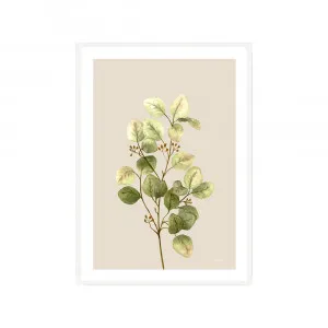 Eucalyptus Native Living 1 in Ivory Fine Art Print | FRAMED White Boxed Frame A3 (29.7cm x 42cm) With White Border by Luxe Mirrors, a Artwork & Wall Decor for sale on Style Sourcebook