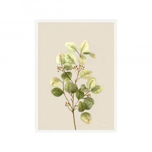 Eucalyptus Native Living 1 in Ivory Fine Art Print | FRAMED White Boxed Frame A3 (29.7cm x 42cm) No White Border by Luxe Mirrors, a Artwork & Wall Decor for sale on Style Sourcebook