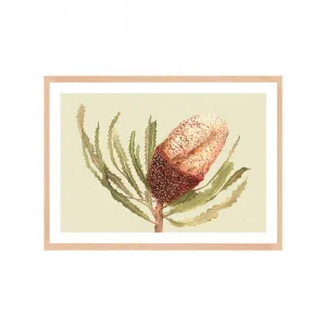 Banksia Native Living Art Flower 2 in Pale Sage Fine Art | FRAMED Tasmanian Oak Boxed Frame A3 (29.7cm x 42cm) With White Border Landscape by Luxe Mirrors, a Artwork & Wall Decor for sale on Style Sourcebook