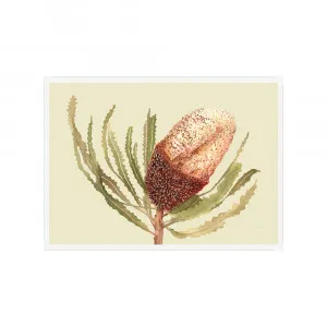 Banksia Native Living Art Flower 2 in Pale Sage Fine Art | FRAMED White Boxed Frame A3 (29.7cm x 42cm) No White Border Landscape by Luxe Mirrors, a Artwork & Wall Decor for sale on Style Sourcebook