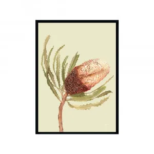 Banksia Native Living Art Flower 2 in Pale Sage Fine Art | FRAMED Black Boxed Frame A3 (29.7cm x 42cm) No White Border Portrait by Luxe Mirrors, a Artwork & Wall Decor for sale on Style Sourcebook