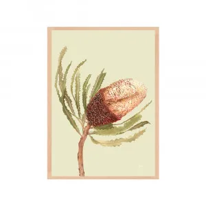 Banksia Native Living Art Flower 2 in Pale Sage Fine Art | FRAMED Tasmanian Oak Boxed Frame A3 (29.7cm x 42cm) No White Border Portrait by Luxe Mirrors, a Artwork & Wall Decor for sale on Style Sourcebook