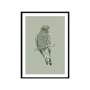 Galah Australian Bird in Willow Green Fine Art Print | FRAMED Black Boxed Frame A3 (29.7cm x 42cm) by Luxe Mirrors, a Artwork & Wall Decor for sale on Style Sourcebook