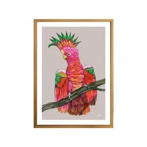 Miranda the Colourful Cockatoo in Pale Slate Fine Art Print | FRAMED Tasmanian Oak Boxed Frame A2 Poster (42cm x 59.4cm) With White Border by Luxe Mirrors, a Artwork & Wall Decor for sale on Style Sourcebook