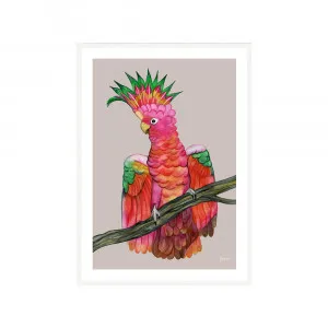 Miranda the Colourful Cockatoo in Pale Slate Fine Art Print | FRAMED White Boxed Frame A2 Poster (42cm x 59.4cm) With White Border by Luxe Mirrors, a Artwork & Wall Decor for sale on Style Sourcebook