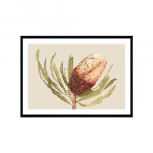 Banksia Native Living Art Flower 2 in Ivory Fine Art | FRAMED Black Boxed Frame A3 (29.7cm x 42cm) With White Border Landscape by Luxe Mirrors, a Artwork & Wall Decor for sale on Style Sourcebook