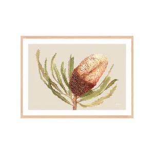 Banksia Native Living Art Flower 2 in Ivory Fine Art | FRAMED Tasmanian Oak Boxed Frame A3 (29.7cm x 42cm) With White Border Landscape by Luxe Mirrors, a Artwork & Wall Decor for sale on Style Sourcebook