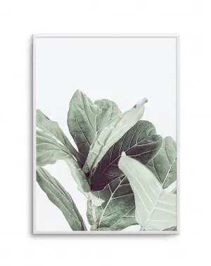 Fiddle Fig II by oliveetoriel.com, a Original Artwork for sale on Style Sourcebook