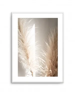 Pampas Ombres II by oliveetoriel.com, a Original Artwork for sale on Style Sourcebook