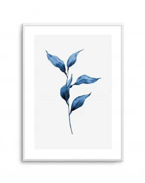 Sea Kelp I by oliveetoriel.com, a Prints for sale on Style Sourcebook