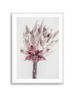 Abstract Protea III by oliveetoriel.com, a Prints for sale on Style Sourcebook