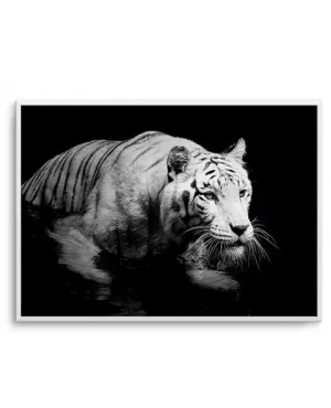 Tigre De Nuit | LS by oliveetoriel.com, a Prints for sale on Style Sourcebook