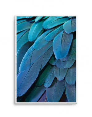 Macaw by oliveetoriel.com, a Prints for sale on Style Sourcebook