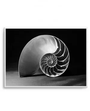 Nautilus B&W by oliveetoriel.com, a Prints for sale on Style Sourcebook