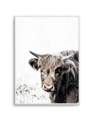 Arthur | Highlander by oliveetoriel.com, a Prints for sale on Style Sourcebook