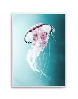 Drifting Jellyfish by oliveetoriel.com, a Prints for sale on Style Sourcebook