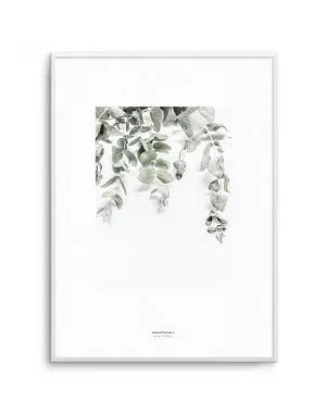 Eucalyptus II by oliveetoriel.com, a Prints for sale on Style Sourcebook