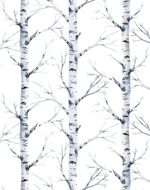 Birch Trees Forest Wallpaper by oliveetoriel.com, a Wallpaper for sale on Style Sourcebook