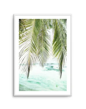 Seaside Palm by oliveetoriel.com, a Prints for sale on Style Sourcebook
